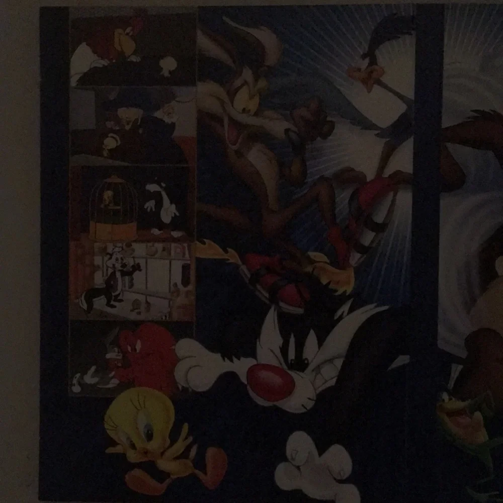 DVD OF LOONEY TUNES SIZES 2 ARE 3 INCH’S TALL